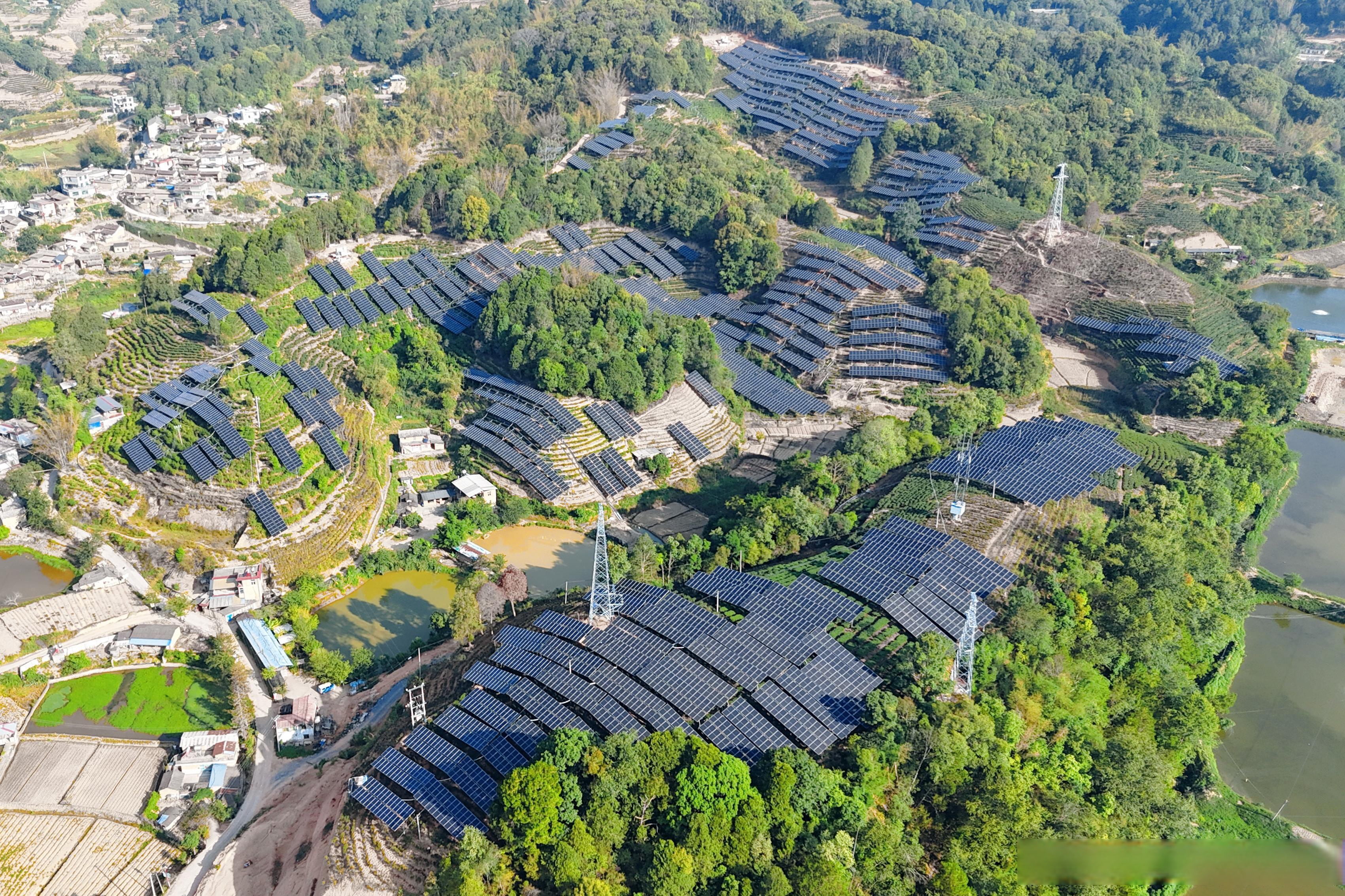 (新春走基层)板上发电、板下种药 农光互补让村民“借光”生财
