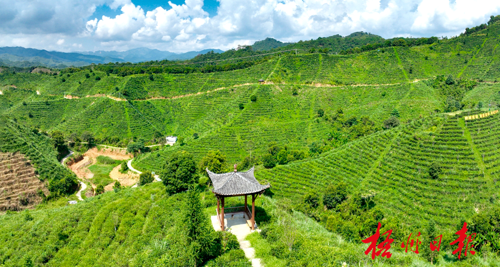 人保伴您前行,人保服务_2026能源产业：结构性矛盾凸显，绿色转型加速