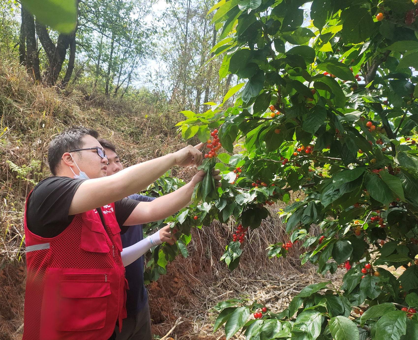 人保伴您前行,人保服务_2026能源产业：结构性矛盾凸显，绿色转型加速