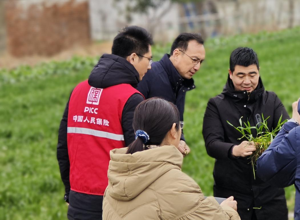 2026环保染料行业现状：传统升级与新兴爆发的双重格局_人保服务 ,人保伴您前行