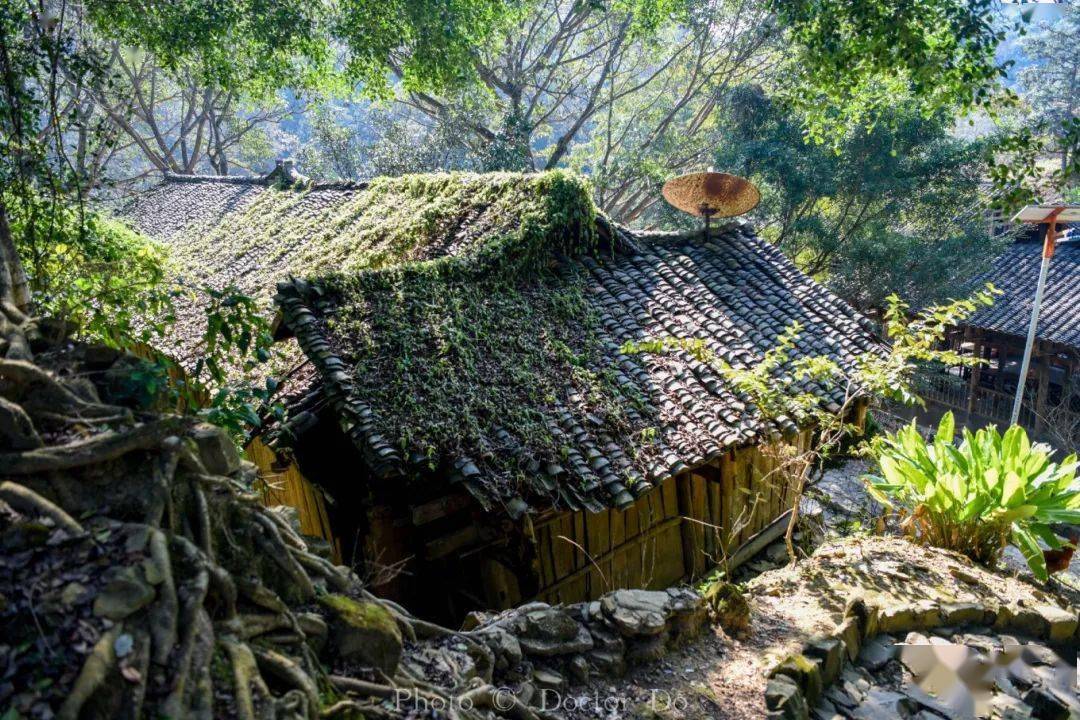 （新春走基层）老调新词话变迁：百年花灯照亮“边城”新气象