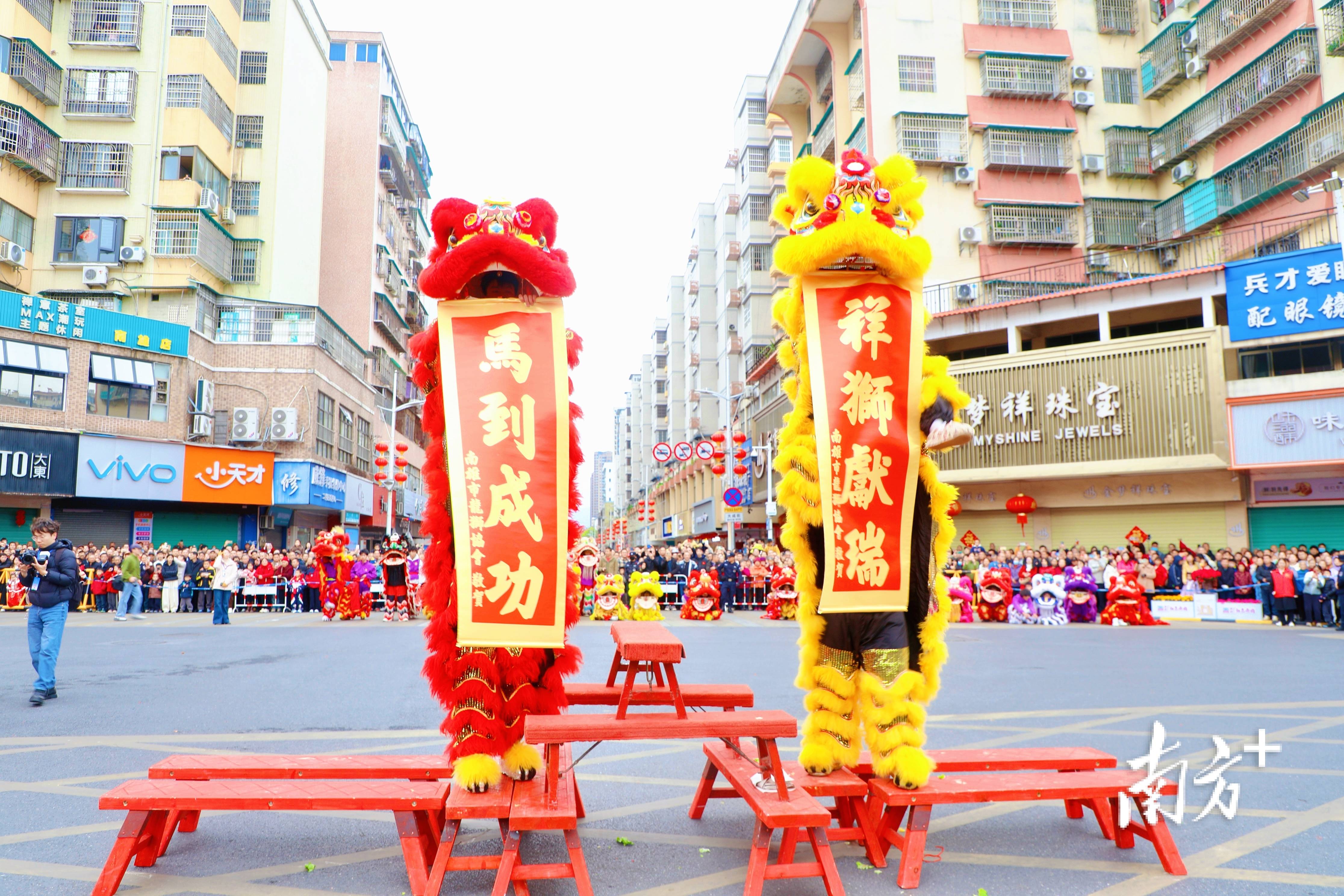 （新春走基层）广东波罗醒狮跃 乡情艺韵共绵长