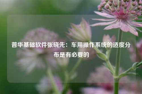 普华基础软件张晓先：车用操作系统的适度分布是有必要的