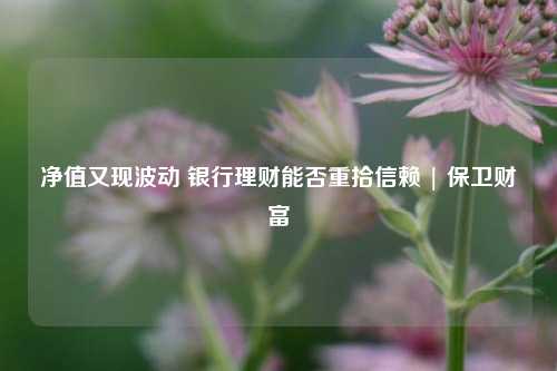 净值又现波动 银行理财能否重拾信赖 | 保卫财富